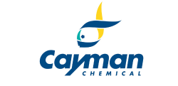 Cayman2