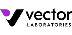 logo-vector-simples