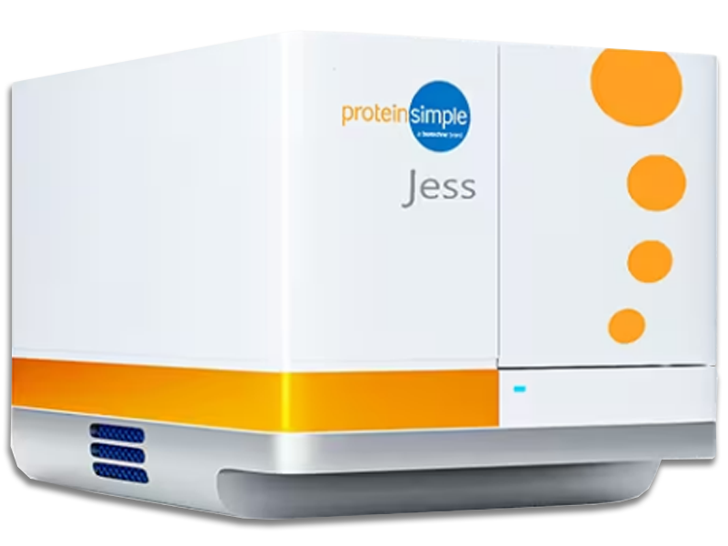 Protein Simple JESS