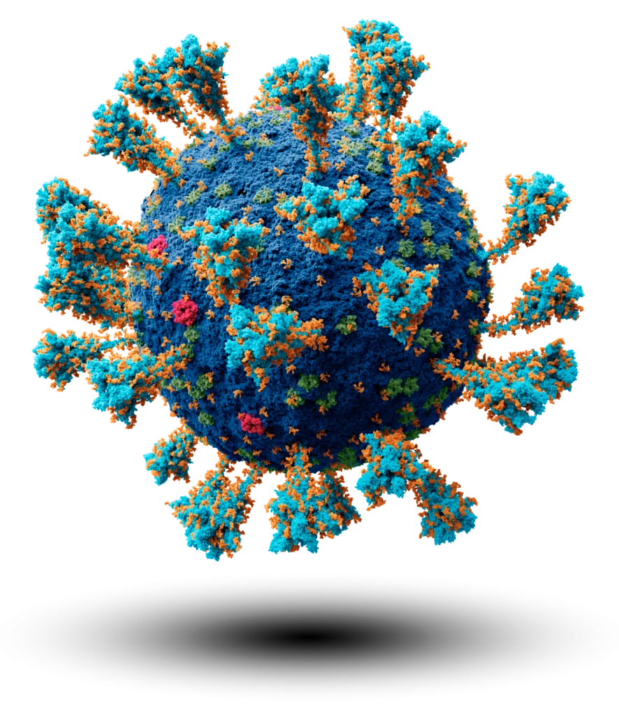 ACD RNA SARS CoV